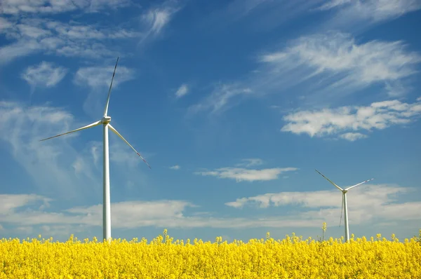 Turbin wiatrowych na polu rzepaku — Zdjęcie stockowe