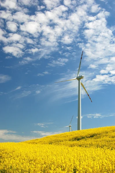 Turbin wiatrowych na polu rzepaku — Zdjęcie stockowe