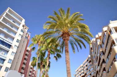 Yaz aylarında apartman binalarında calpe, İspanya
