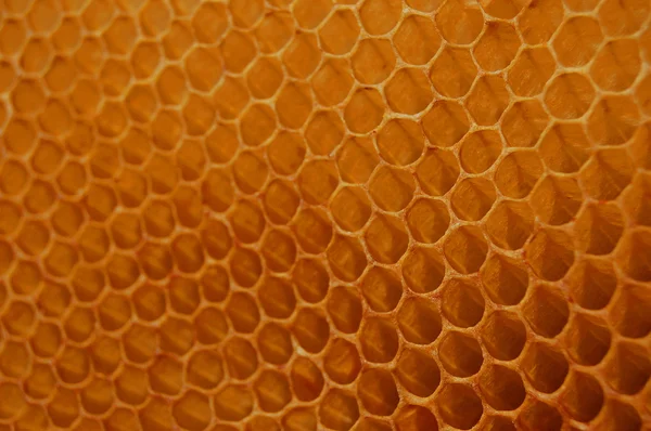 Honeycomb — Stock Photo, Image