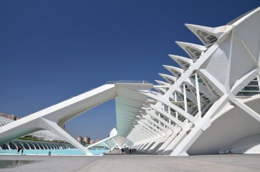 Valencia, İspanya 'daki Sanat ve Bilim Şehri.