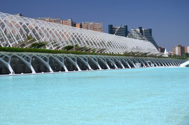 Valencia, İspanya 'daki Sanat ve Bilim Şehri.