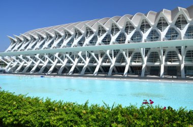 Valencia, İspanya 'daki Sanat ve Bilim Şehri.