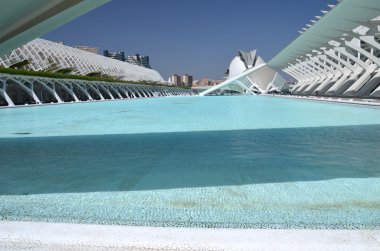 Valencia, İspanya 'daki Sanat ve Bilim Şehri.