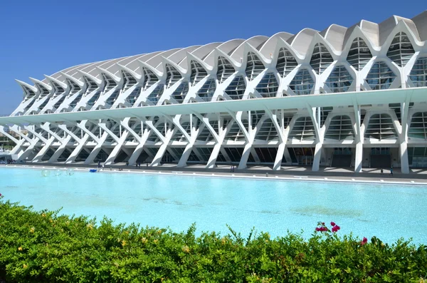 Valencia, İspanya 'daki Sanat ve Bilim Şehri.