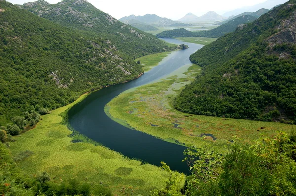 Crnojevica river in Montenegro — Stock Photo, Image