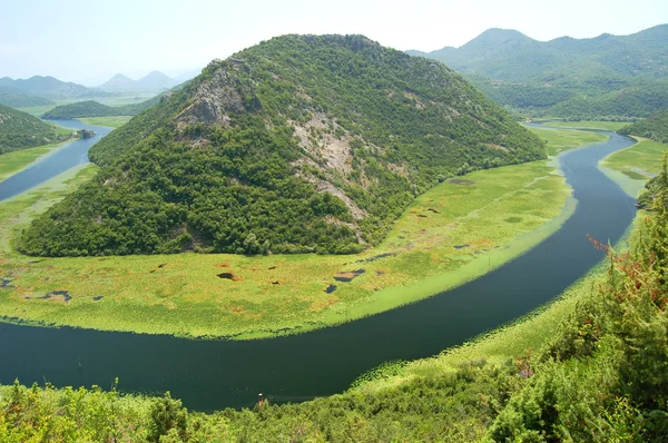 Crnojevica river in Montenegro — Stock Photo, Image
