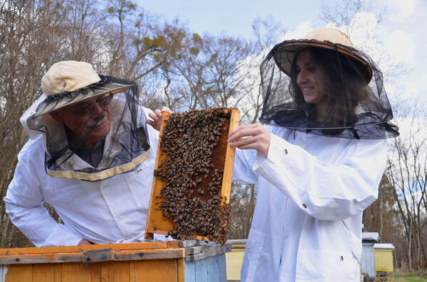 Two beekeepers working in apiary