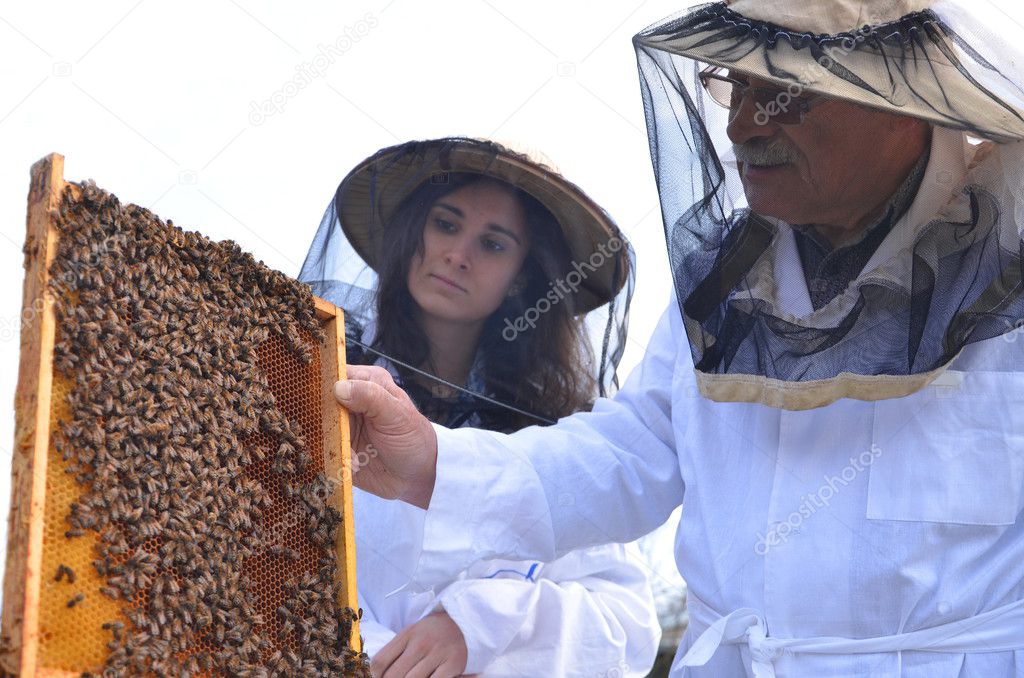 Two beekeepers working in apiary