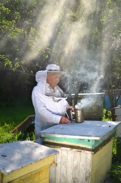 Experimentado apicultor senior en su colmenar encendiendo un fuego en un fumador de abejas — Foto de Stock