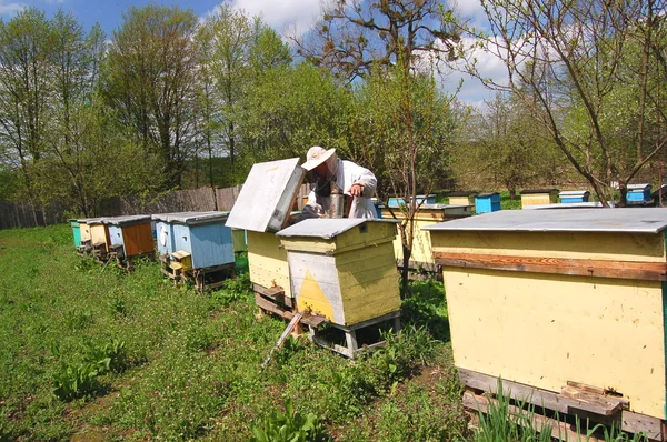 Apicultor sénior experiente a trabalhar no apiário — Fotografia de Stock