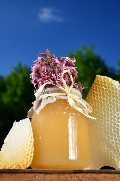 Jar full of delicious fresh honey, pieces of honeycomb and wild flowers in apiary against blue sky — Stock Photo, Image