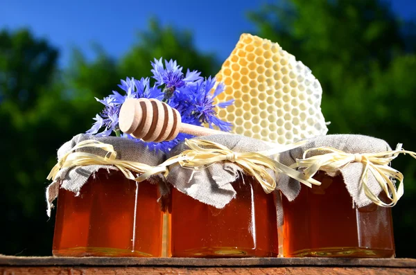 Tres frascos llenos de deliciosa miel fresca, trozo de miel de panal y flores silvestres en colmenar contra el cielo azul — Foto de Stock