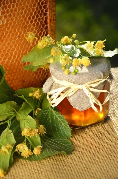 Pot de miel frais et délicieux avec des fleurs de tilleul et nid d'abeille — Photo