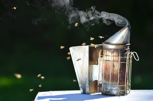 Курильщик пчел на пасеке — стоковое фото
