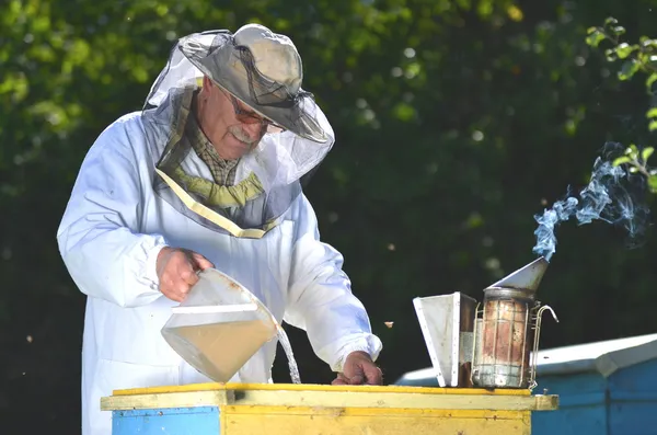 Apiculteur expérimenté versant du sirop dans une mangeoire avant la saison hivernale — Photo