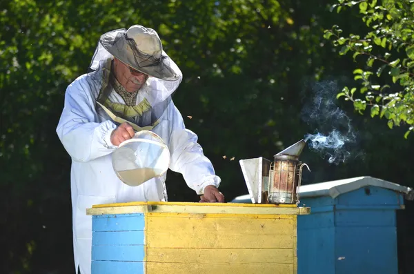 kış sezonu öncesi arı kovanı besleyiciye içine şurubu dökerek deneyimli üst düzey arıcı