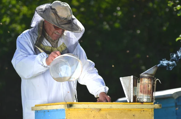 Apicultor sênior experiente derramando xarope em um alimentador em apiário antes da temporada de inverno — Fotografia de Stock
