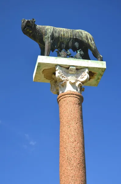 Die Statue der Wölfin auf dem Platz der Wunder in Pisa, Italien — Stockfoto