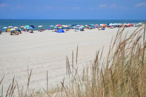 Vista pitoresca na praia de areia italiana Marina di Vecchiano nas proximidades de Pisa, Toscana, na Itália — Fotografia de Stock