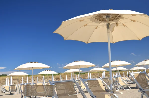 Parasols et chaises longues sur la belle plage Marina di Vecchiano près de Pise, Toscane en Italie — Photo