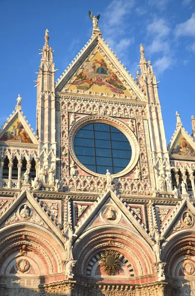 Façade of magnificent marble cathedral in Siena, Italy — ストック写真