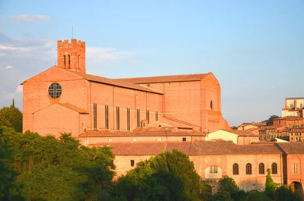 Basilikan san domenico i siena, Toscana, Italien — Stockfoto