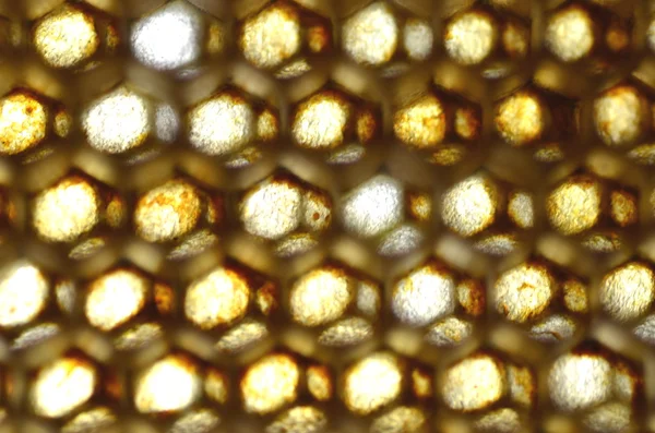 Natural honeycomb — Stock Photo, Image