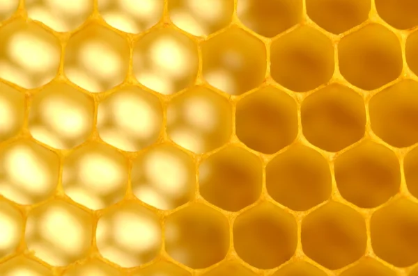 Natural honeycomb — Stock Photo, Image