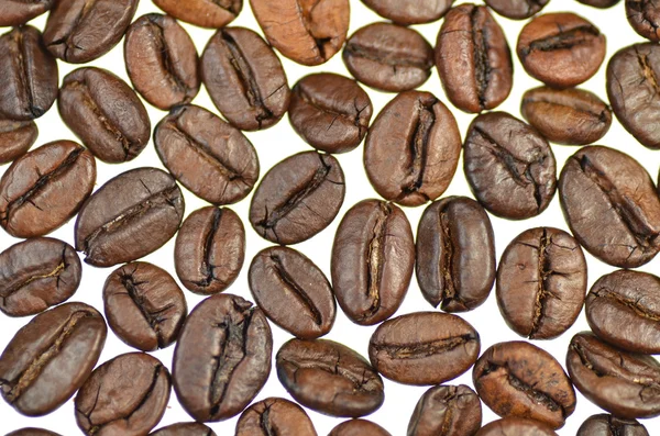Geroosterde koffiebonen geïsoleerd op witte achtergrond — Stockfoto