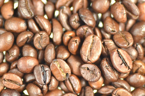 Rostade kaffebönor isolerad på vit bakgrund — Stockfoto