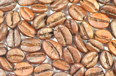 Kızarmış kahve çekirdekleri beyaz arka planda izole edilmiş.