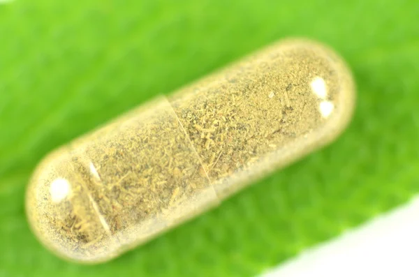 Close-up van kruiden capsule op sage blad geïsoleerd op witte achtergrond — Stockfoto