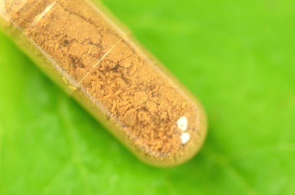 Closeup of herbal capsule on melissa leaf — Stock Photo, Image