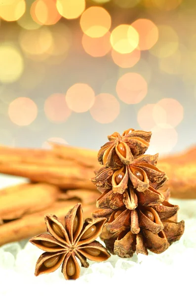 Saison de Noël, bâtons de cannelle, étoiles d'anis sur fond bokeh — Photo