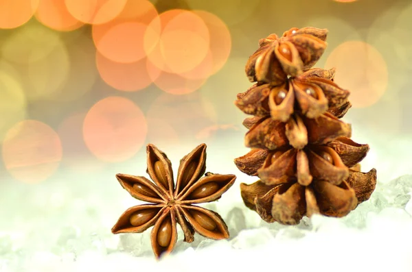 Christmas spices, anise stars on bokeh background — Stock Photo, Image