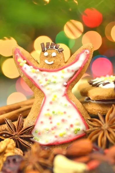 Weihnachtsgewürze, Nüsse, Plätzchen und Trockenfrüchte auf Bokeh-Hintergrund — Stockfoto