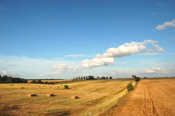 Krásné letní Krajina Krajina v Polsku — Stock fotografie