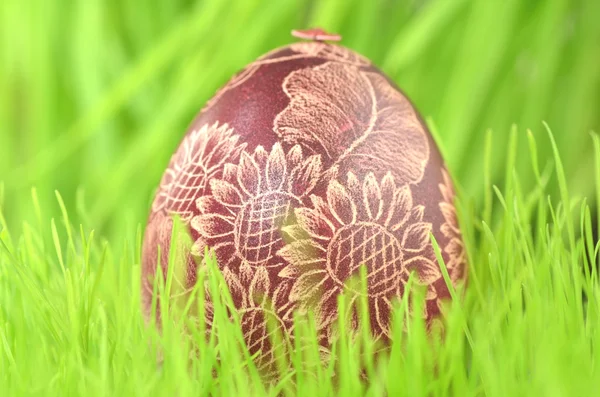 在草丛中传统划伤的手工制作复活节彩蛋 — 图库照片