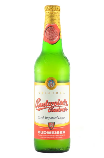 Budweiser cerveja lager isolado no fundo branco — Fotografia de Stock