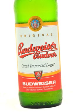 Budweiser bira bira beyaz zemin üzerine izole
