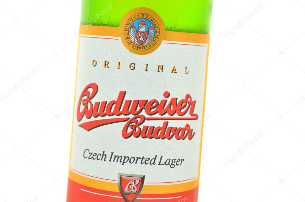 Budweiser lager beer isolated on white background