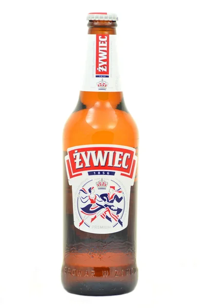 Zywiec birra isolata su sfondo bianco — Foto Stock