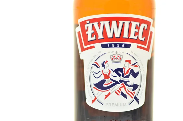 Zywiec sör elszigetelt fehér background — Stock Fotó