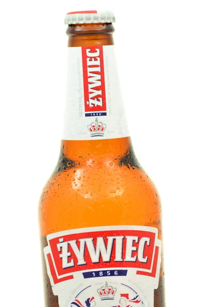 Żywiec öl isolerad på vit bakgrund — Stockfoto
