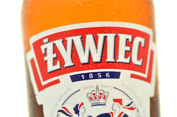 Zywiec birra isolata su sfondo bianco — Foto Stock