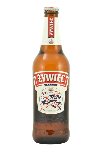 Zywiec birra isolata su sfondo bianco — Foto Stock