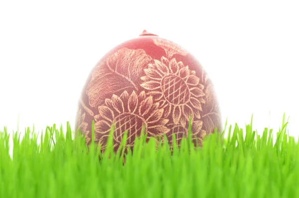 Traditionele bekrast handgemaakte easter egg op het gras geïsoleerd op wit — Stockfoto