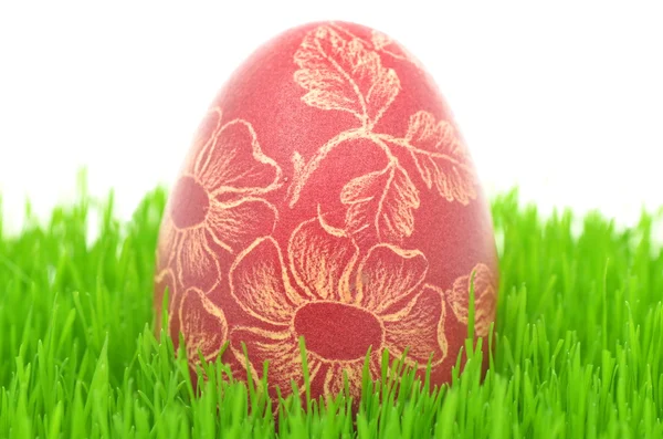 Traditionele bekrast handgemaakte easter egg op het gras geïsoleerd op wit — Stockfoto