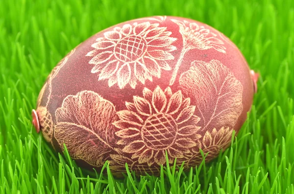 Traditional scratched handmade Easter egg on the grass — Stock Photo, Image